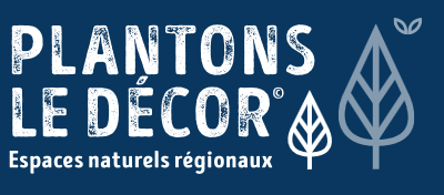 Plantons le décor!