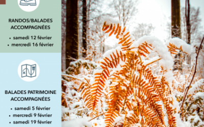 Idées de sorties de la semaine en Vallées d&rsquo;Opale