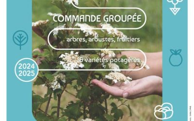 Plantons le décor !