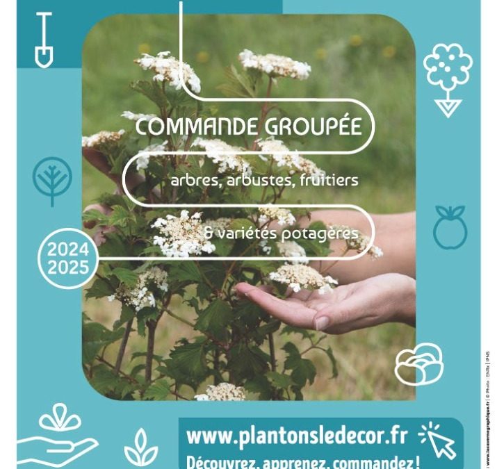 Plantons le décor !